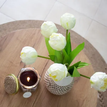 Meteor Family 3* Chepelare